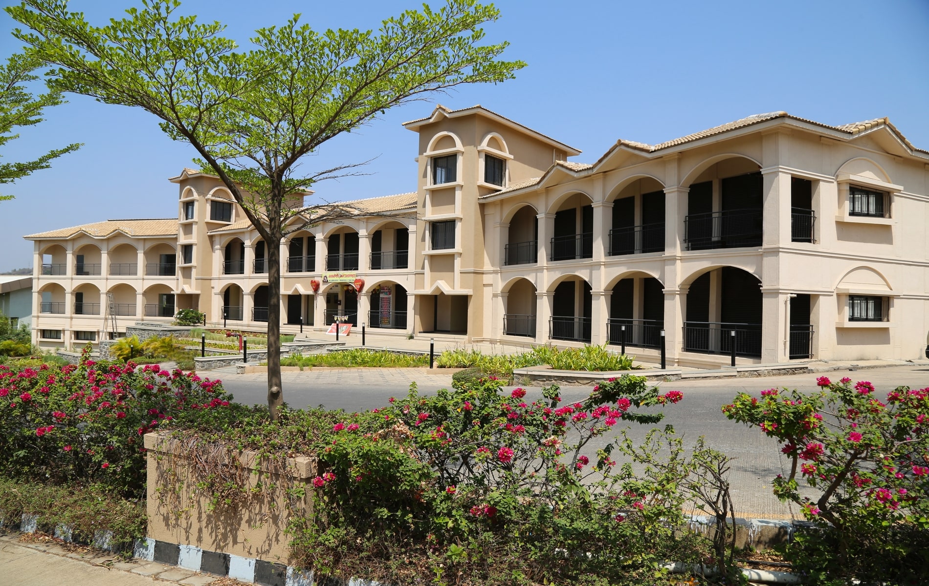Image 3